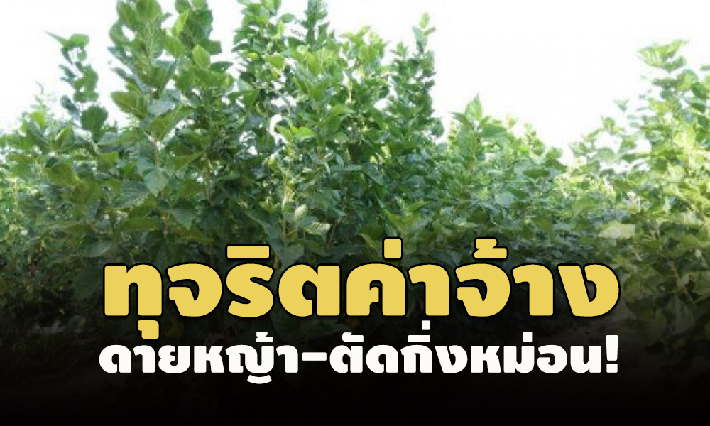 picpedwrfsssaassaas6 9 64