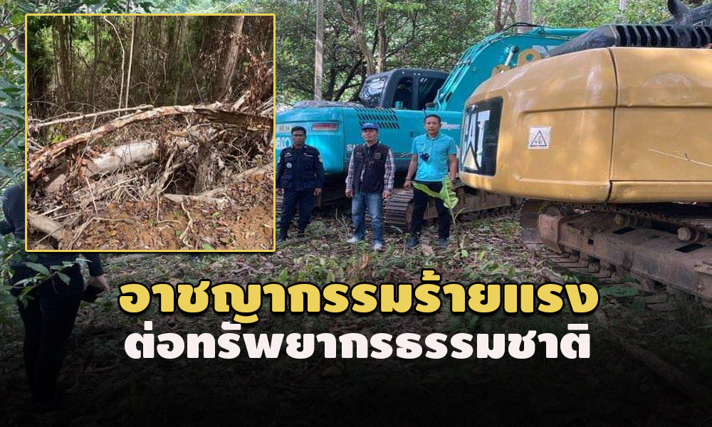 pictammmachjjss29 5 64