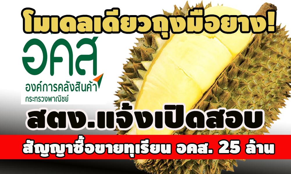 picppolkklkkkdsdsds9633ds8 26 64