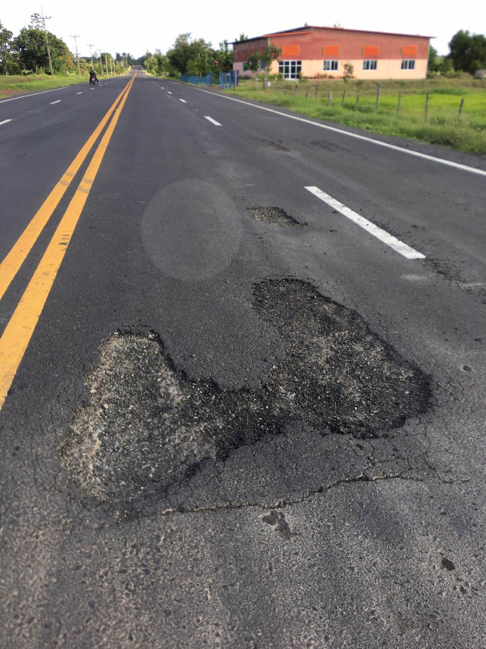 picrosggdsddfdf963d19 8 64