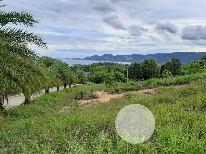 piclangffsasas9633s9 3 64