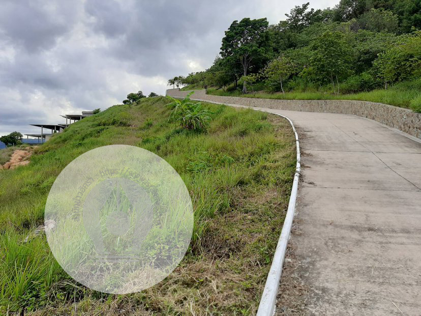 piclangffsasass9 3 64