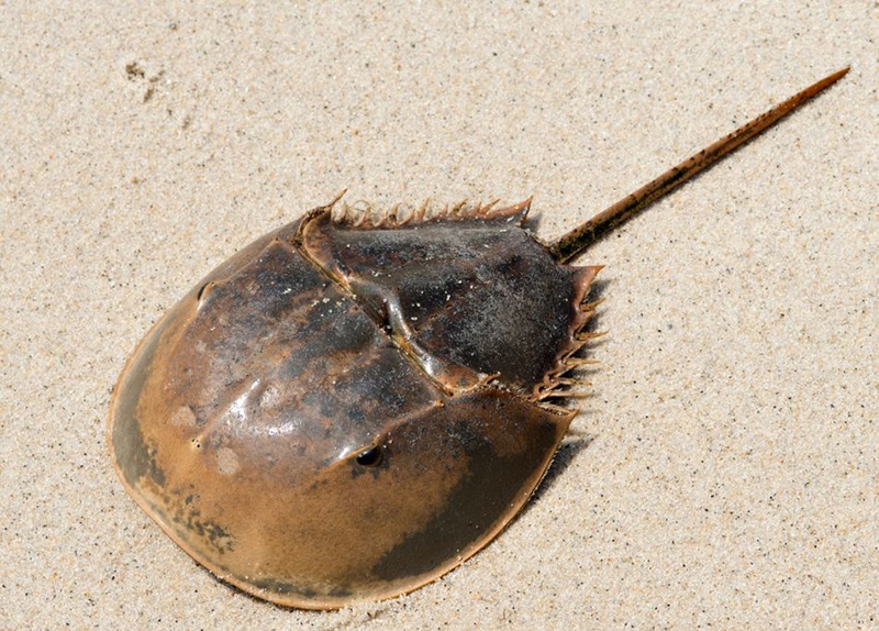 2689446 VEERASAK 2001 1