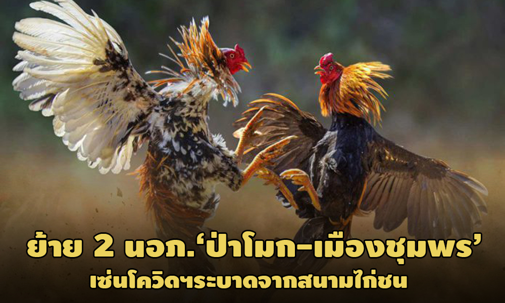 PIC covidchicken 7 1 64 777