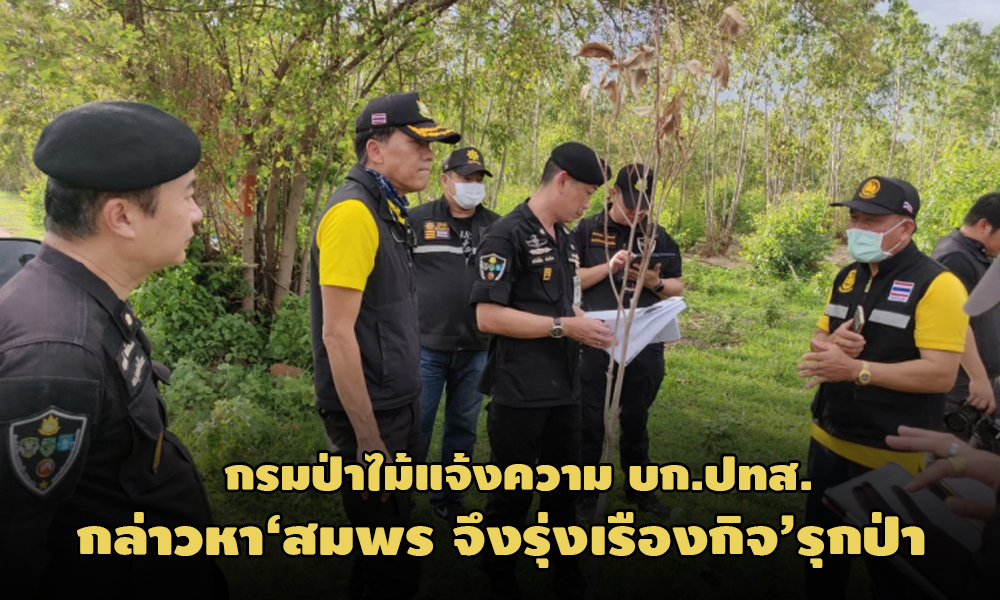 PIC krompamai 30 12 63 1