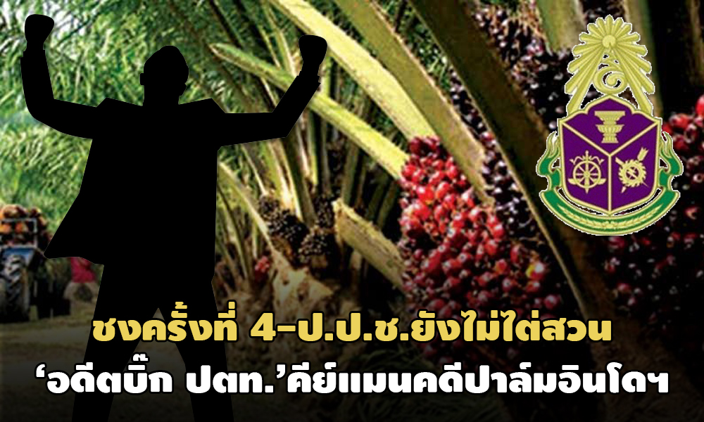 PIC naccpalmindo 25 11 63 1