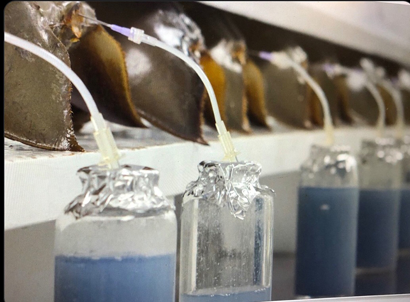 S 11608273 veerasak 2001