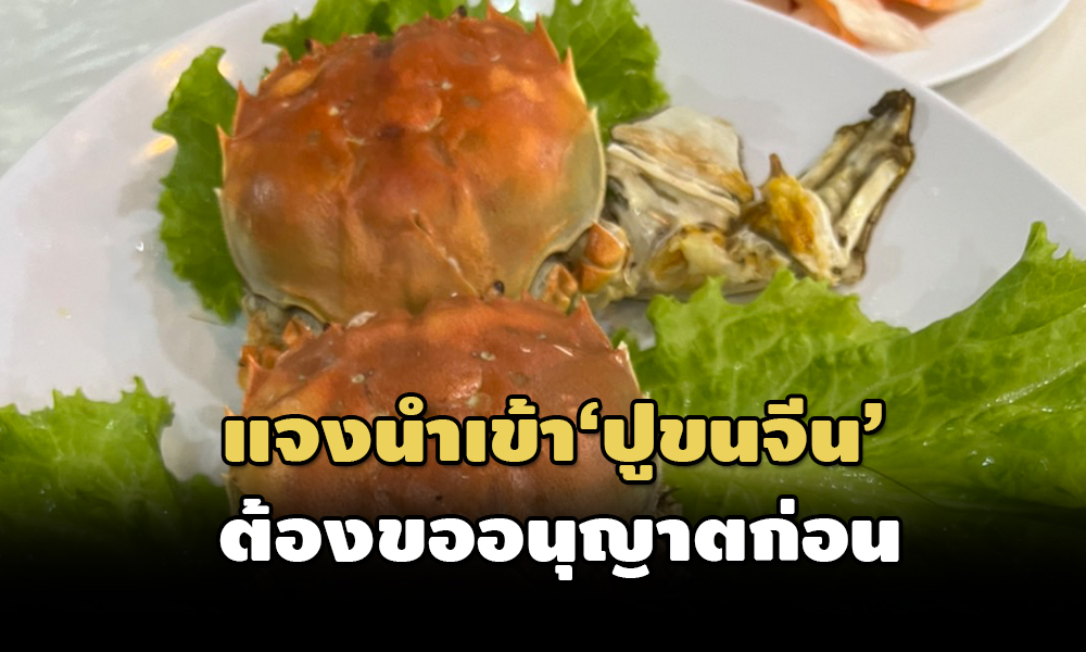 crab 26 10 21 pic new