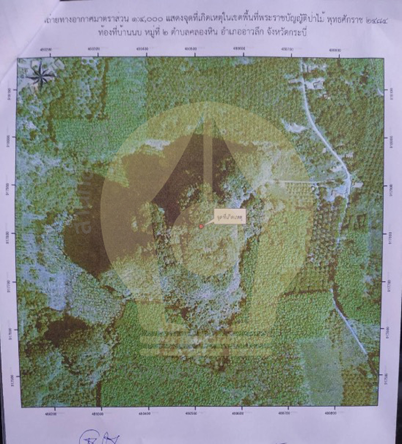 PIC รถมอไซค์วิบากกรมป่าไม้ 7