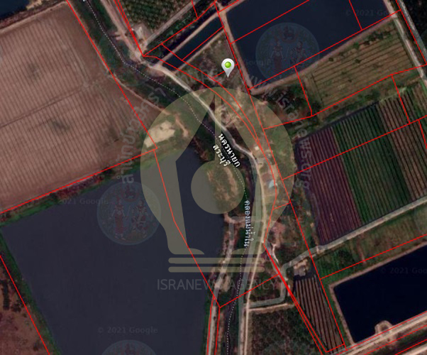 PIC รายงานที่ดินยายโตล่าสุด 4