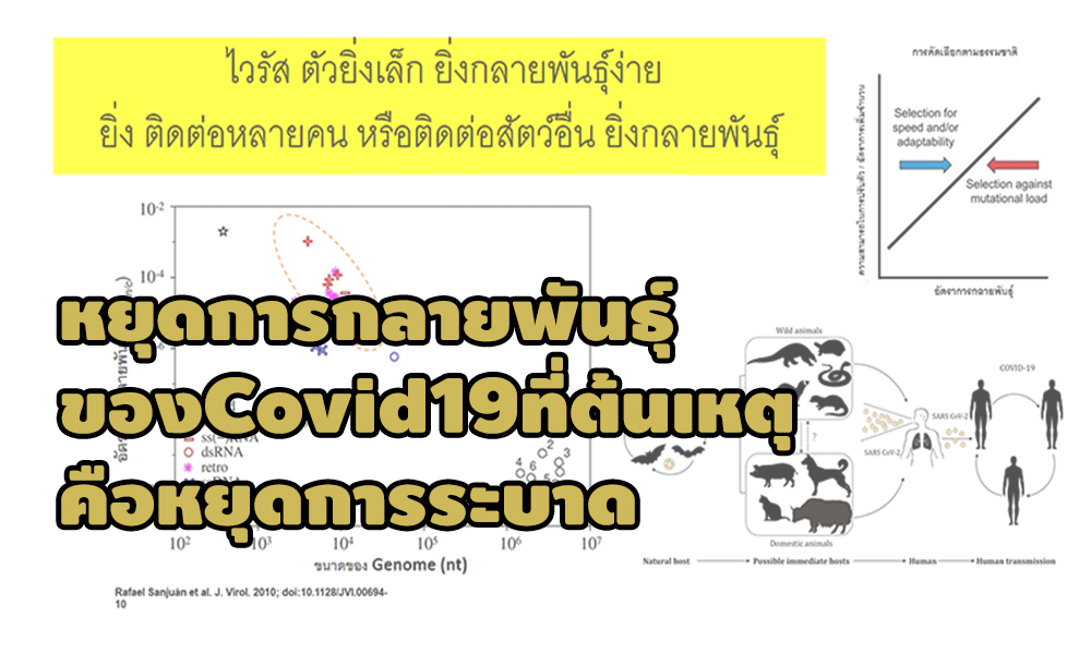 covid 2204 main tt