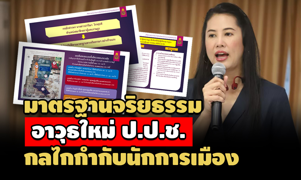 30042564 pareena cover