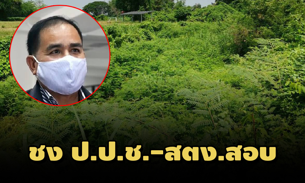 PIC nattiiioo 16 5 64 81