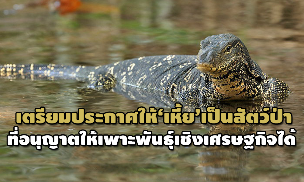 news warawut 2305 main edit 2