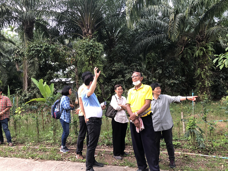 ชะอวดโมเดล 01