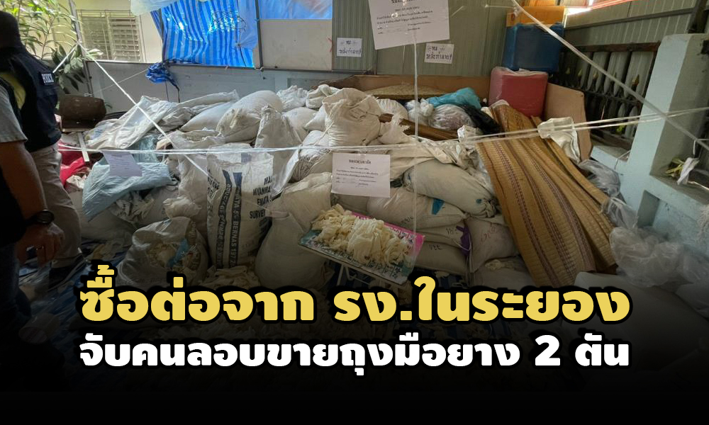 PIC tungmeyang 6 6 64 85