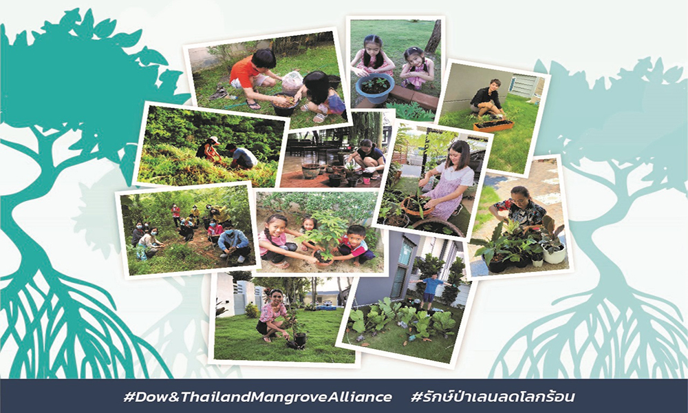 dow2021 virtual tree plating