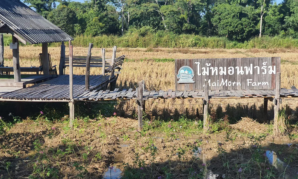 maimornfarm scg 2806