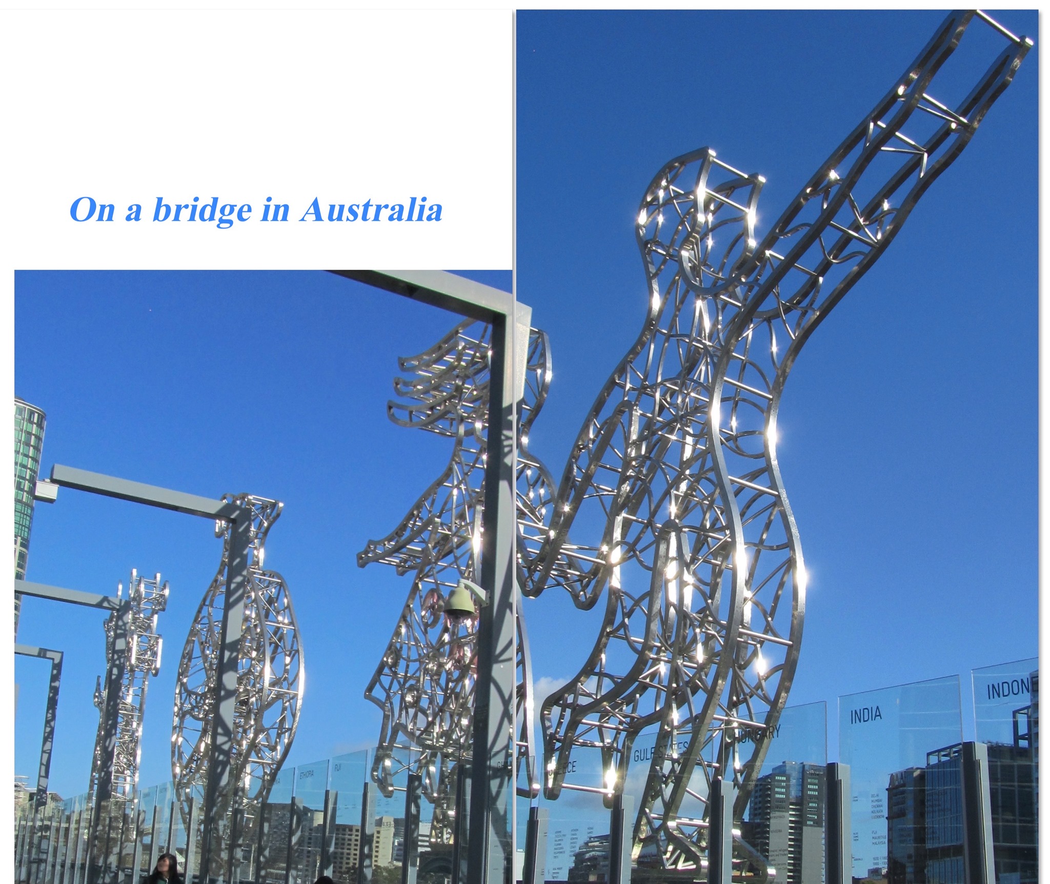 213078922 1273235459766745 5256502459790610722 n