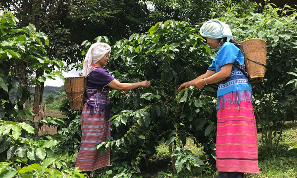 orpr station 070164 0