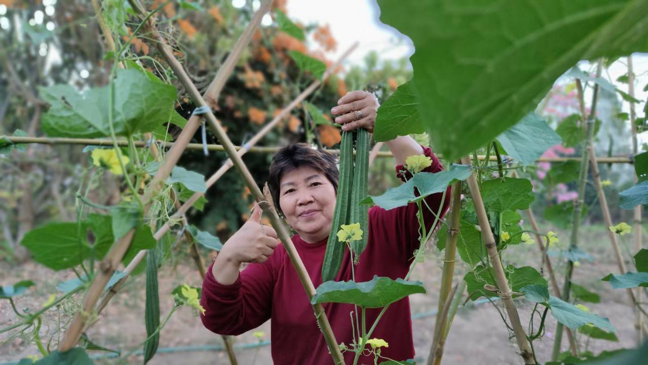 พี่แหม่ม สิริกมล พงศ์พัว แห่งบ้านไร่