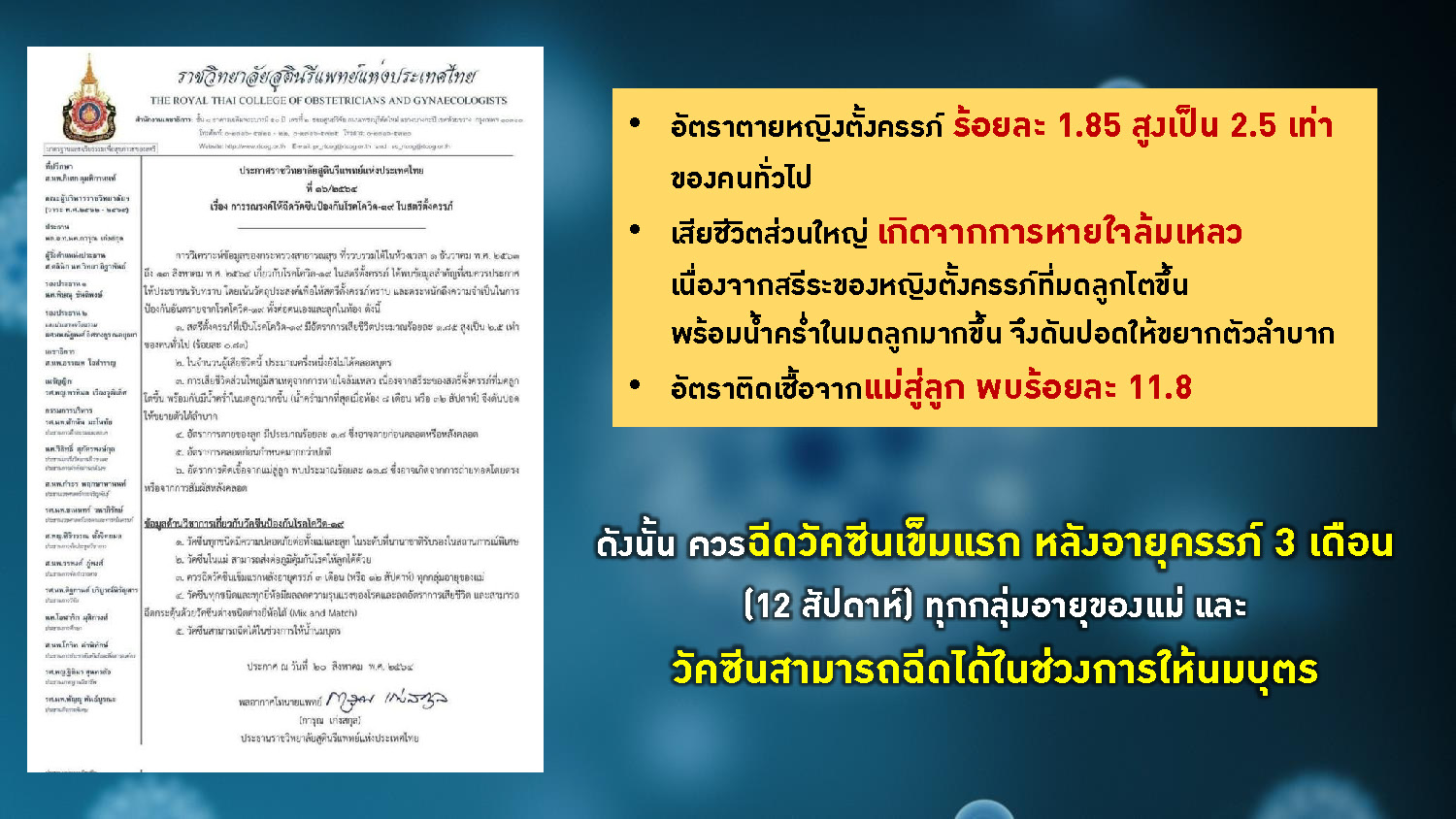 240672176 393277358957261 1942090157390149510 n