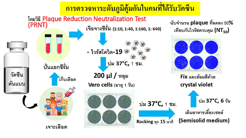 COVID 19 vaccination10.00 Page4