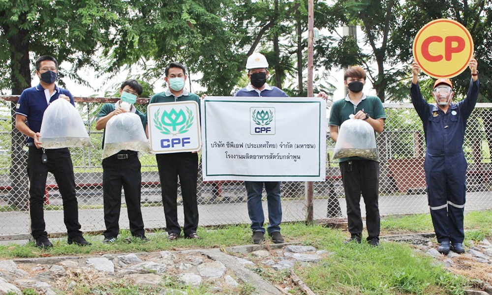 cpf120864
