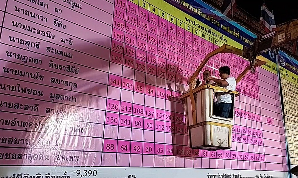 electionsouth29036nr