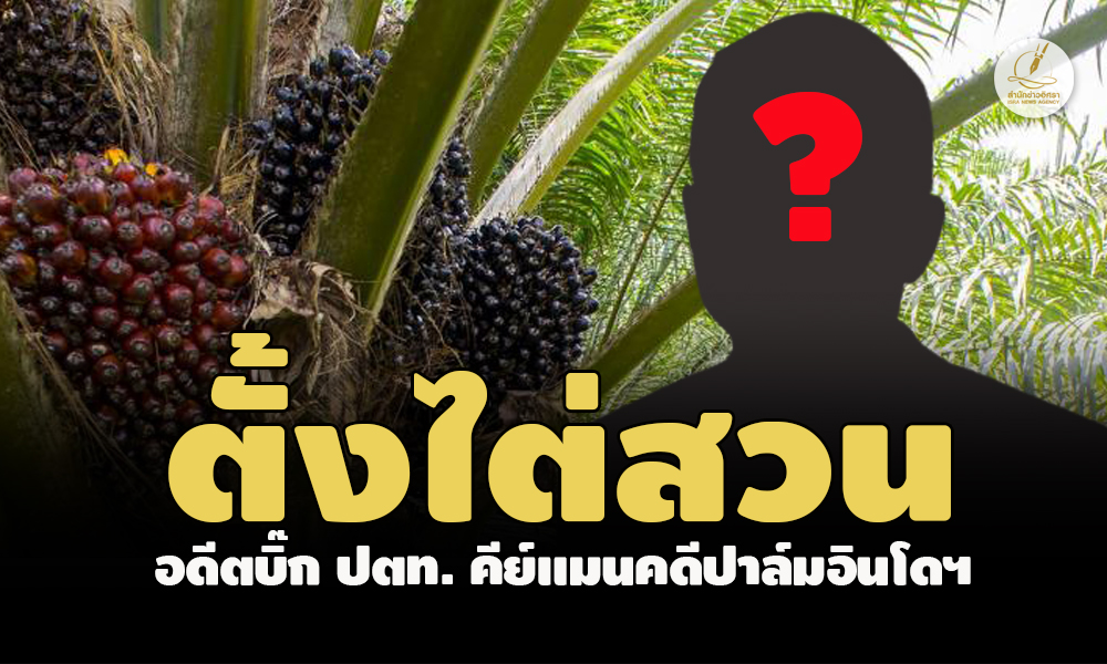 picpppttttpvdsdsdssd4 6 66