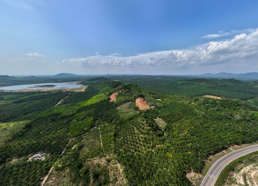 354129380 814677463252526 2244345106442202634 n