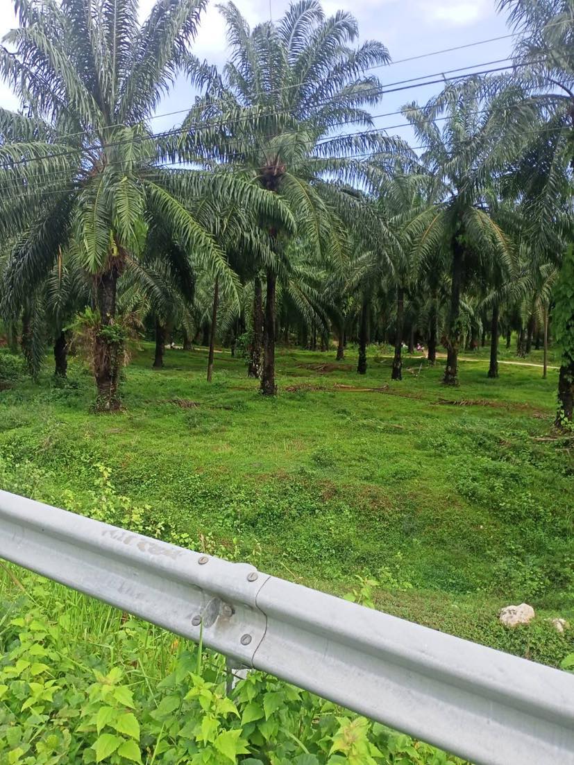 354247796 1438368350350271 1462804162445008267 n