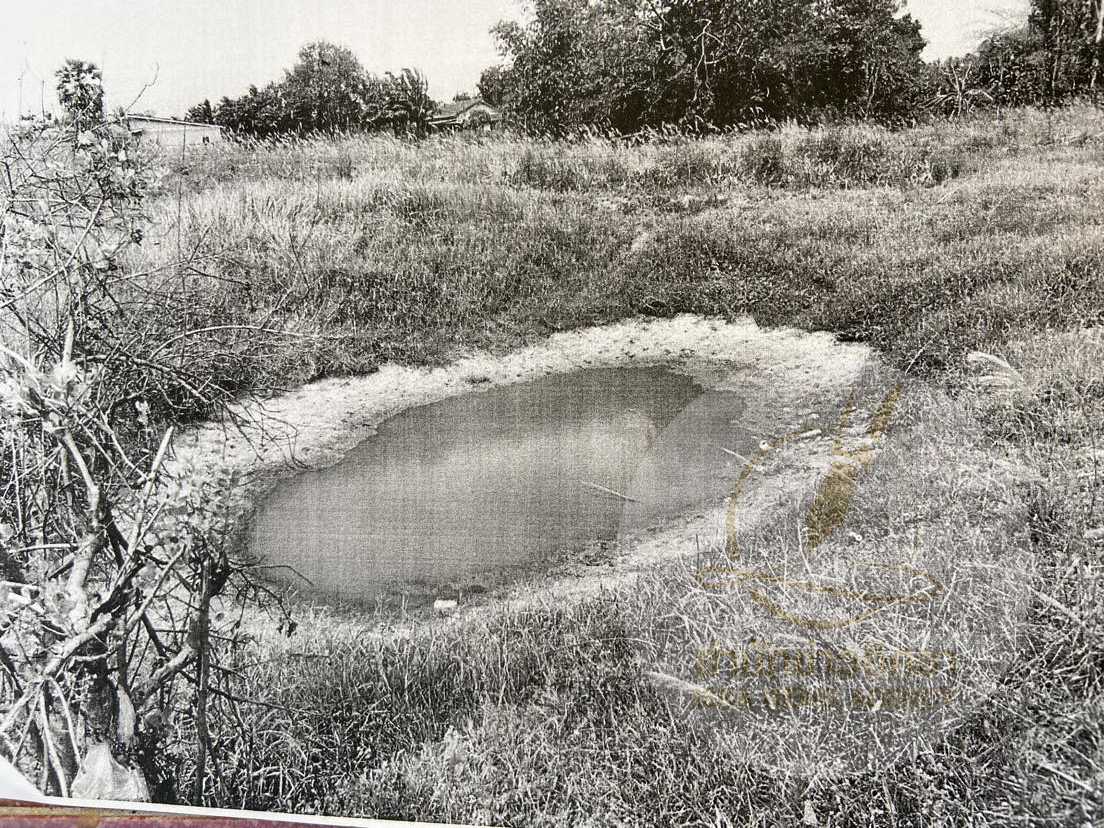 piclannnndsdssddsdsdssd8 7 666