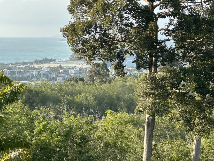 364183656 1250888158889776 6404754162038411781 n