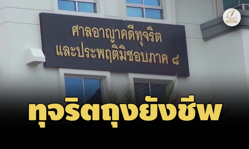 picppckecdsxdccccc29 8 99