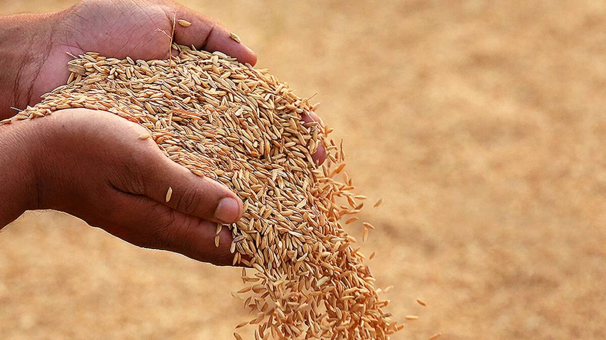 FDyJ6J2TgF2WVvj5GQQn