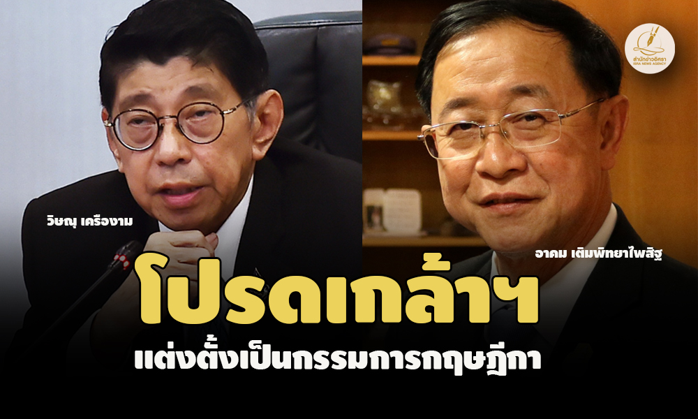 picfddssasasasasasasa7 11 66