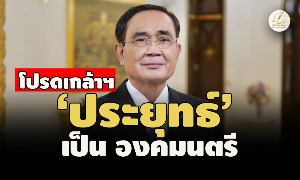 picppaaytueerer29 11 66