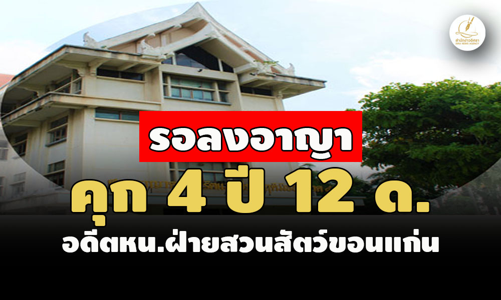 picppckesdxcfv29 12 66