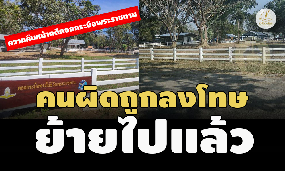 picpppcccsadssasasassasas8 11 66