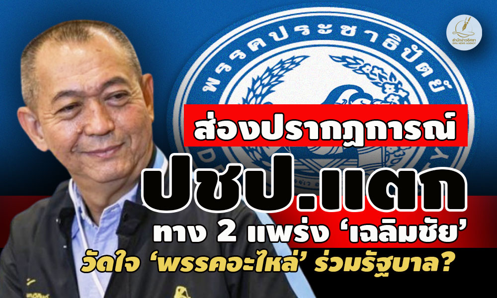 picpppcsacasdfgbbb16 12 66