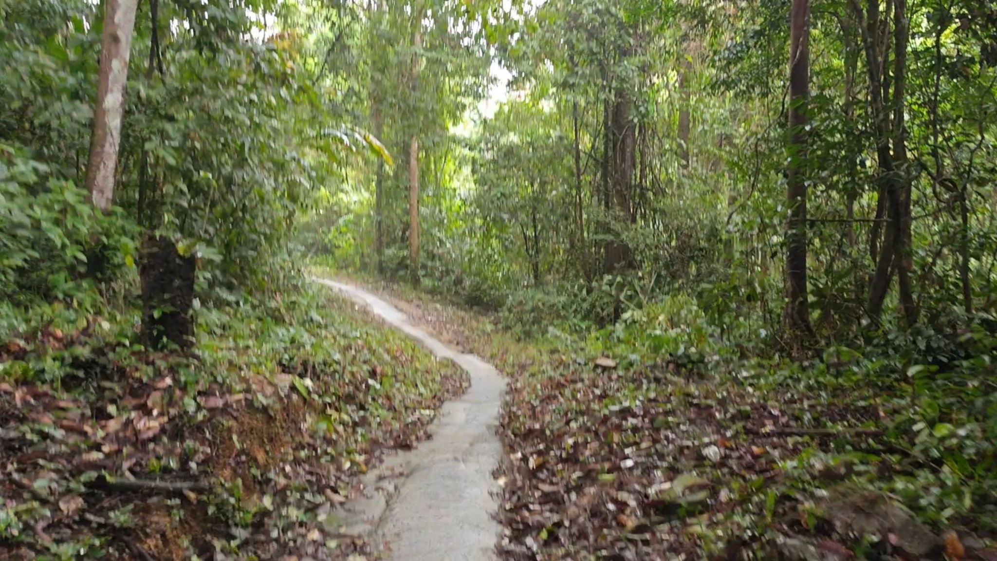 pictaaakkkaaa0111 11 66