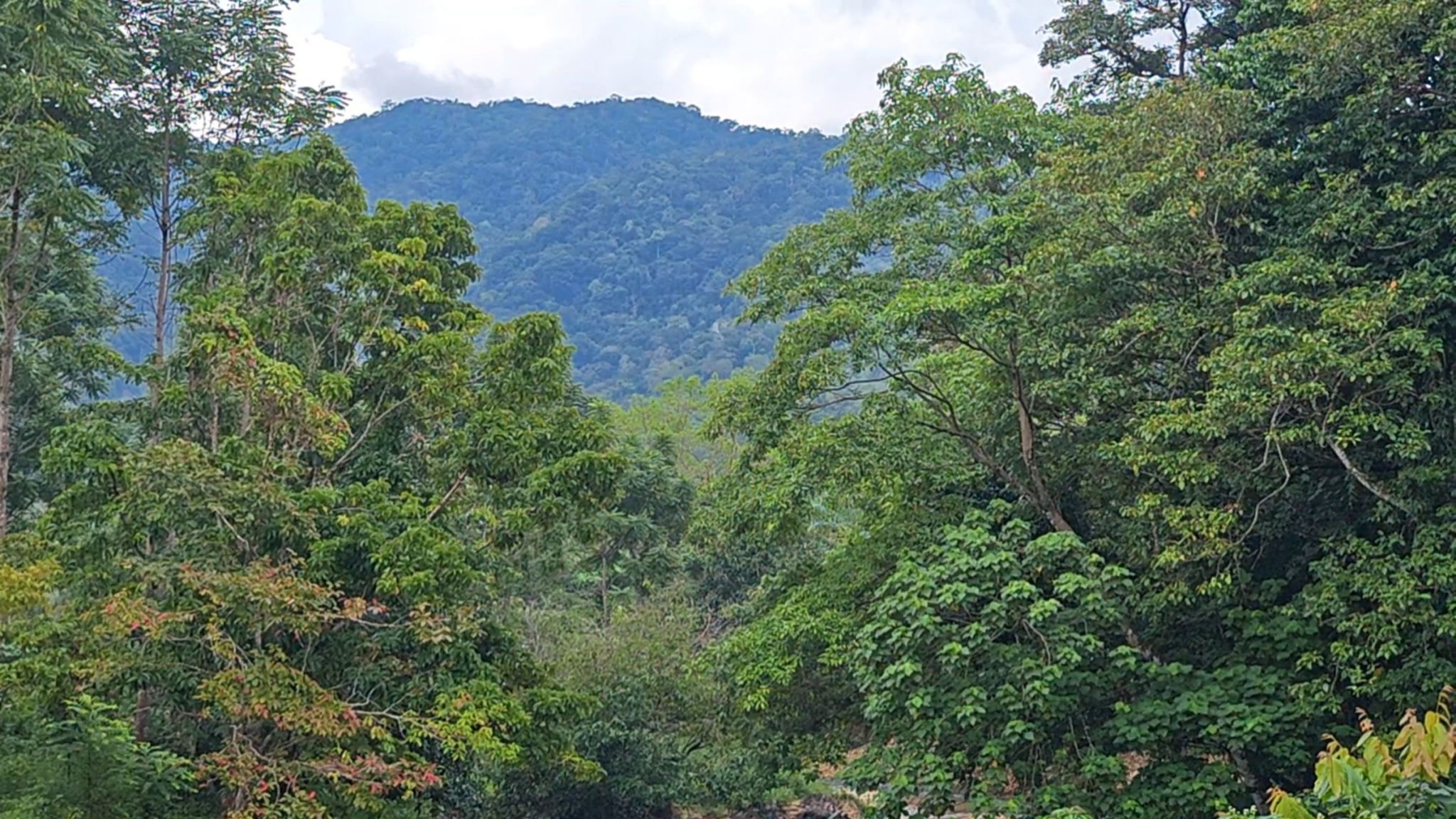 pictaaakkkaaa0311 11 66