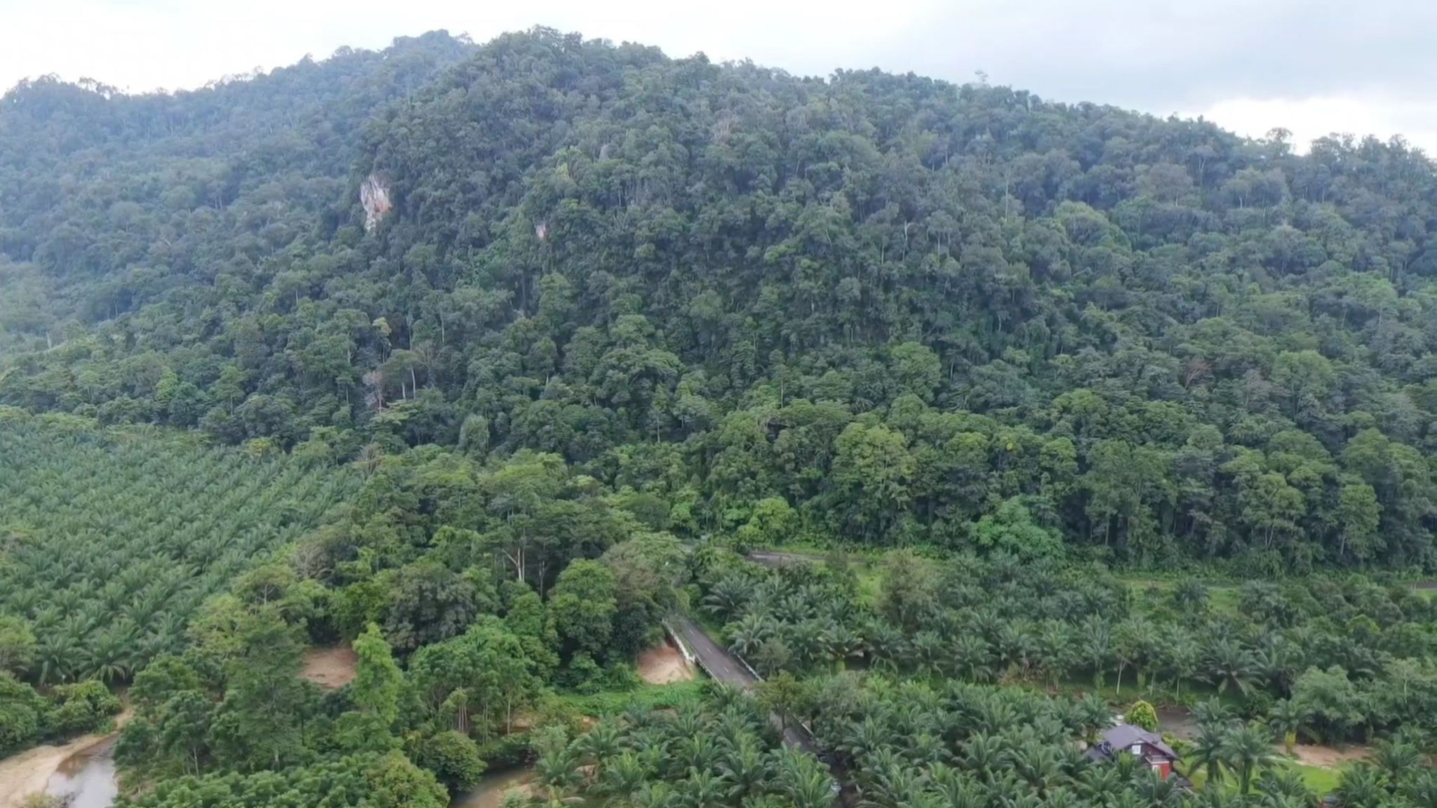 pictaaakkkaaa0411 11 66