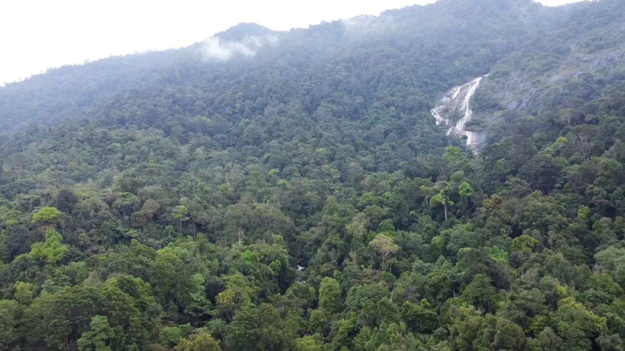 pictaaakkkaaa0511 11 66