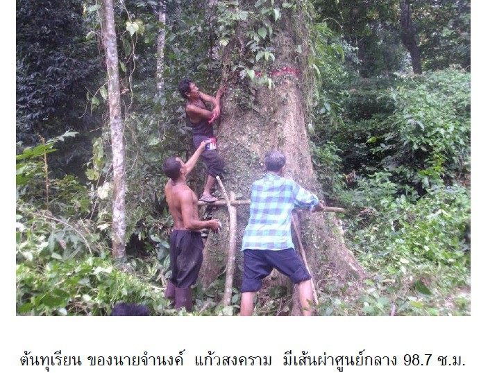 pictaaakkkaaa1011 11 66