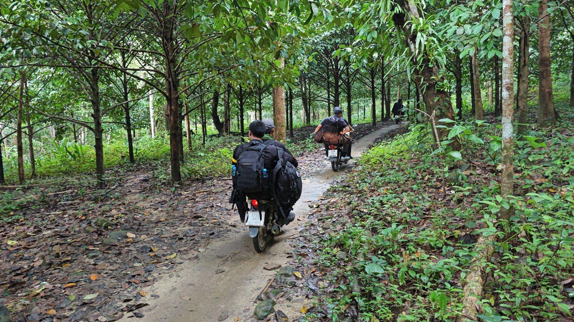 pictaaakkkaaa106611 11 66