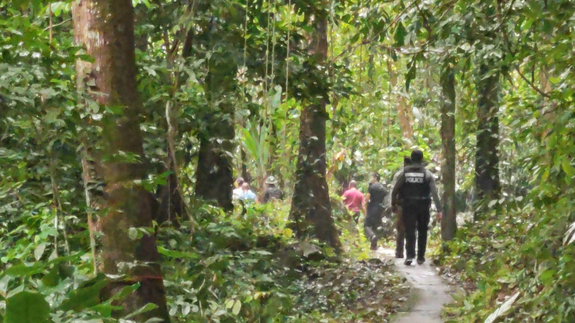 pictaaakkkaaa196011 11 66