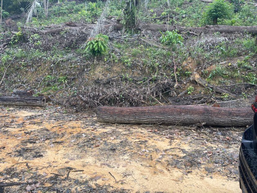 331665344 577784051043688 6893213728417632992 n