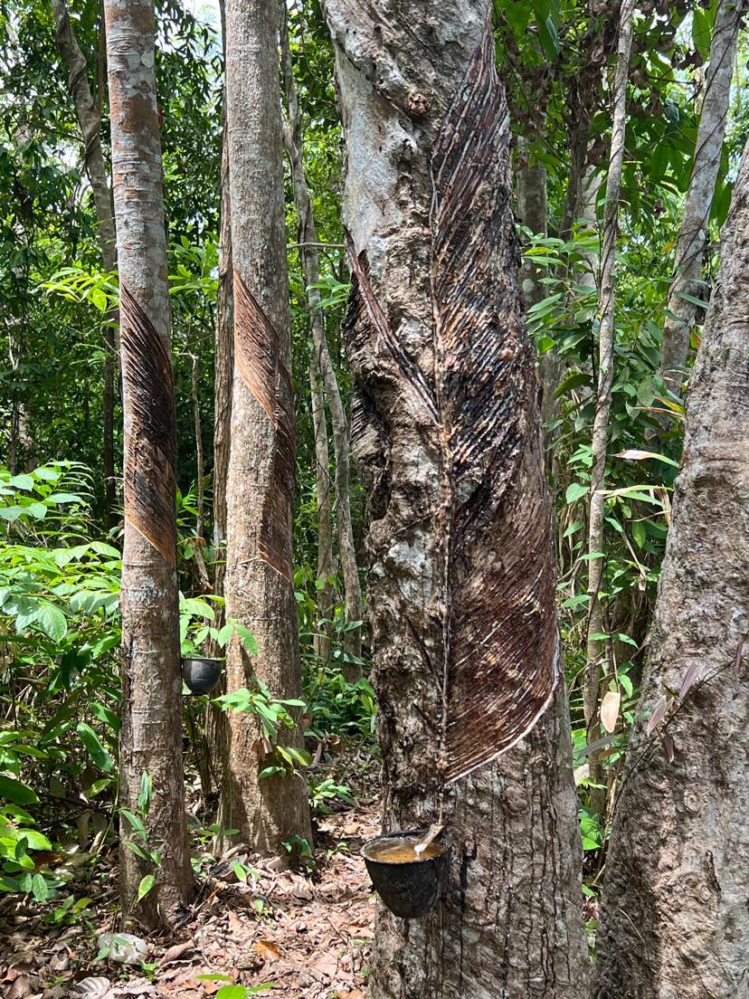 344302840 750163826903575 4728386030182904370 n